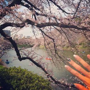 春谷美雨归来免费观看
