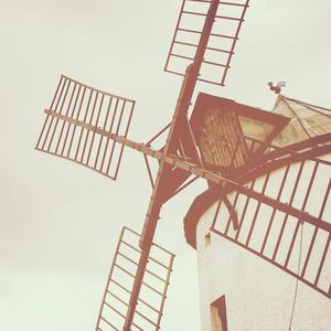 春谷美雨归来免费观看
